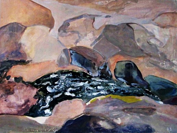 Piece of Academic Retrospective entitled waterfall in the Retezat mountains